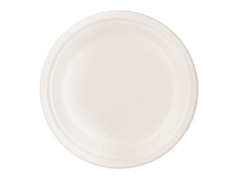 Biodegradable Plates (50pieces)