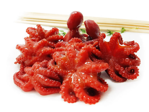 Honey Baby Octopus